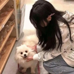 唯我独魔官方版下载